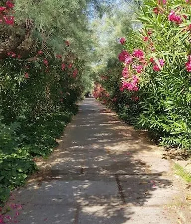 Lejlighed Superbe 5 Min De La La Grande-Motte